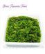 Чука салат из морских водорослей HIYASHI WAKAME 1кг 1530350753 фото 3
